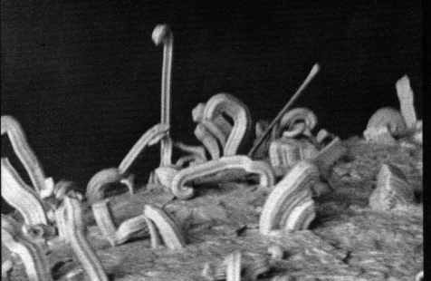 Zinc Whiskers Data Center Cleanroom Design