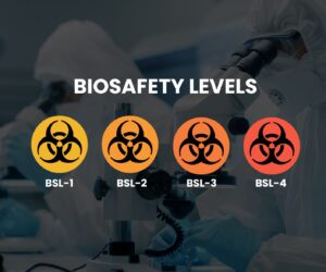 bio safety levels bsl