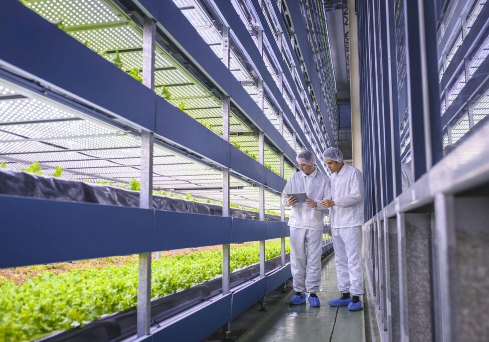 scientists working in agritech cleanroom facility